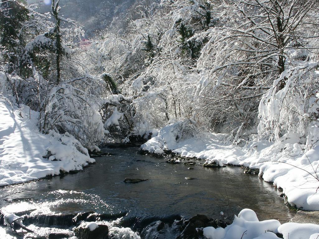 Pieve Di Ca Maggiore 피렌주올라 외부 사진