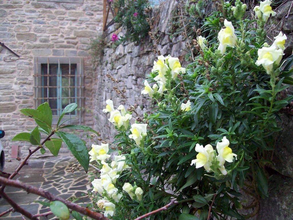 Pieve Di Ca Maggiore 피렌주올라 외부 사진